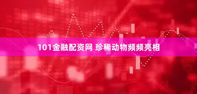 101金融配资网 珍稀动物频频亮相